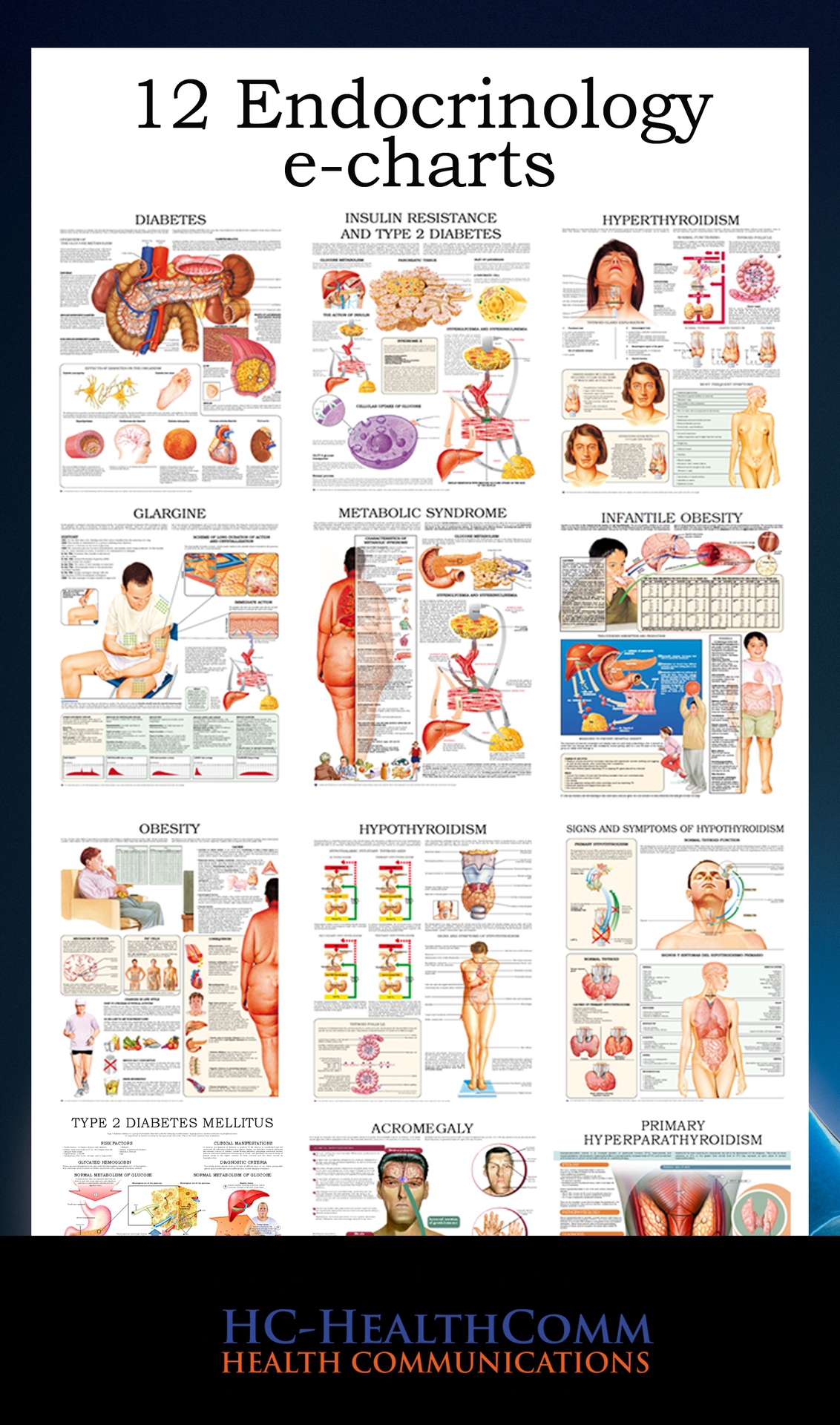 The First Edition of 12 Endocrinology e-charts These Anatomical - photo 1