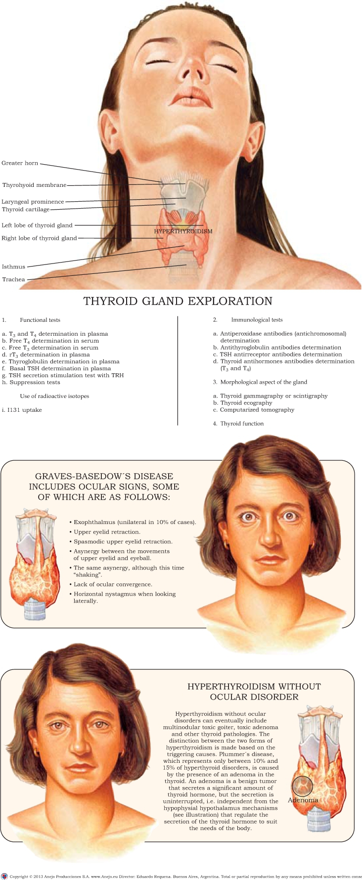 This disorder which encompasses a whole set of anatomopathological structures - photo 5