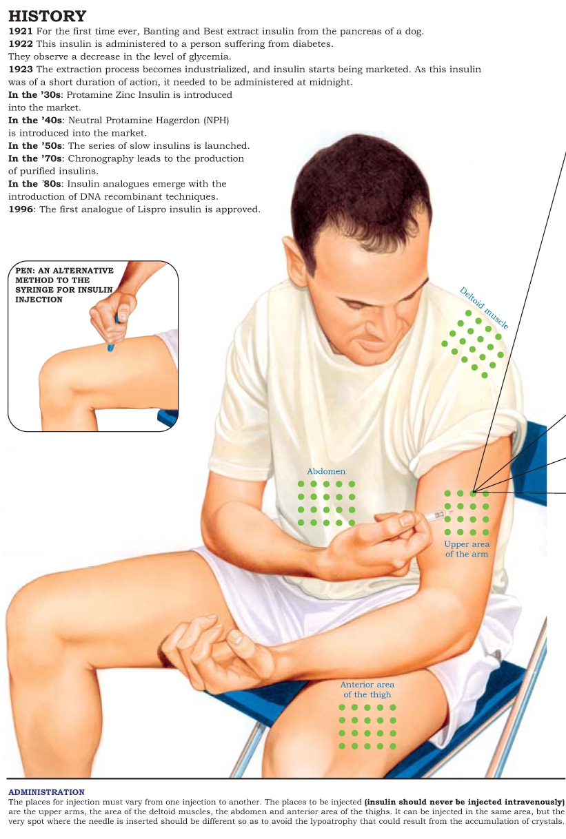 12 Endocrinology e-charts More than 200 images and tables - photo 8