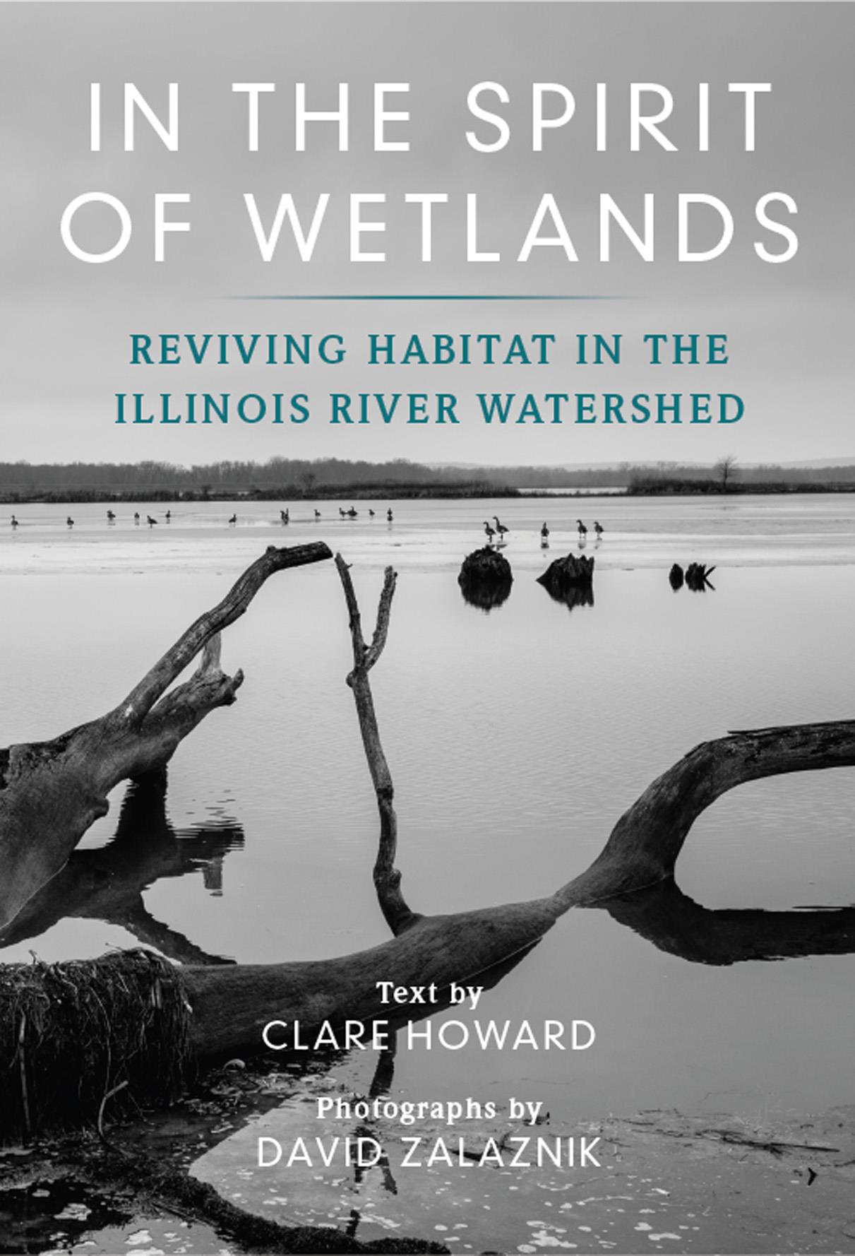 IN THE SPIRIT OF WETLANDS IN THE SPIRIT OF WETLANDS REVIVING HABITAT IN THE - photo 1