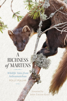 Polly Pullar A Richness of Martens: Wildlife Tales from the Highlands