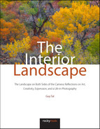 Guy Tal The Interior Landscape: The Landscape on Both Sides of the Camera: Reflections on Art, Creativity, Expression, and a Life in Photography