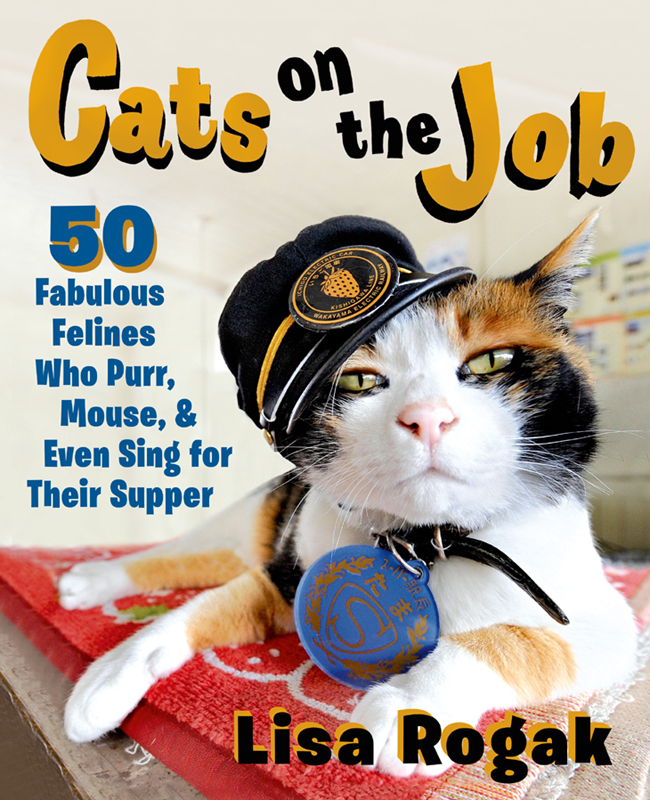 Cats on the Job 50 Fabulous Felines Who Purr Mouse and Even Sing for Their - photo 1
