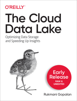 Rukmani Gopalan - The Cloud Data Lake: A Guide to Building Robust Cloud Data Architecture. Early Release