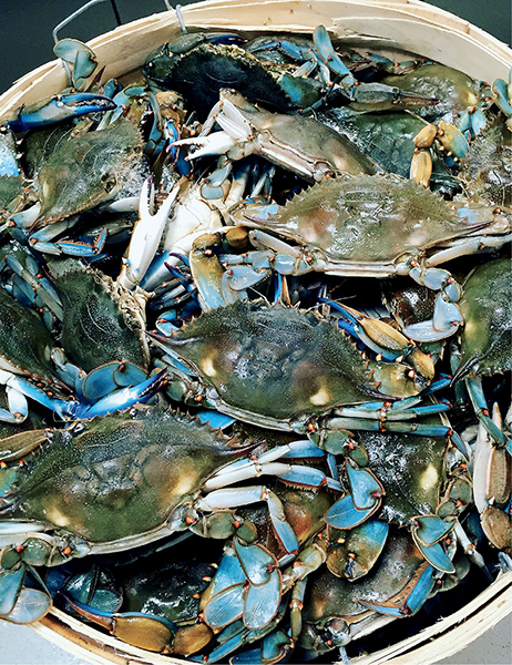 Locals Seafood Carolina Catch - photo 3