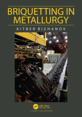 Aitber Bizhanov - Briquetting in Metallurgy