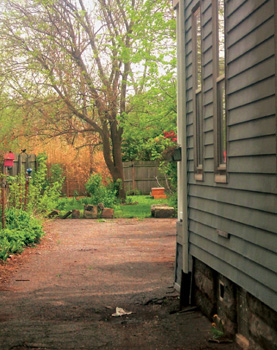 Backyards are good places to keep bees because they are close urban areas - photo 13