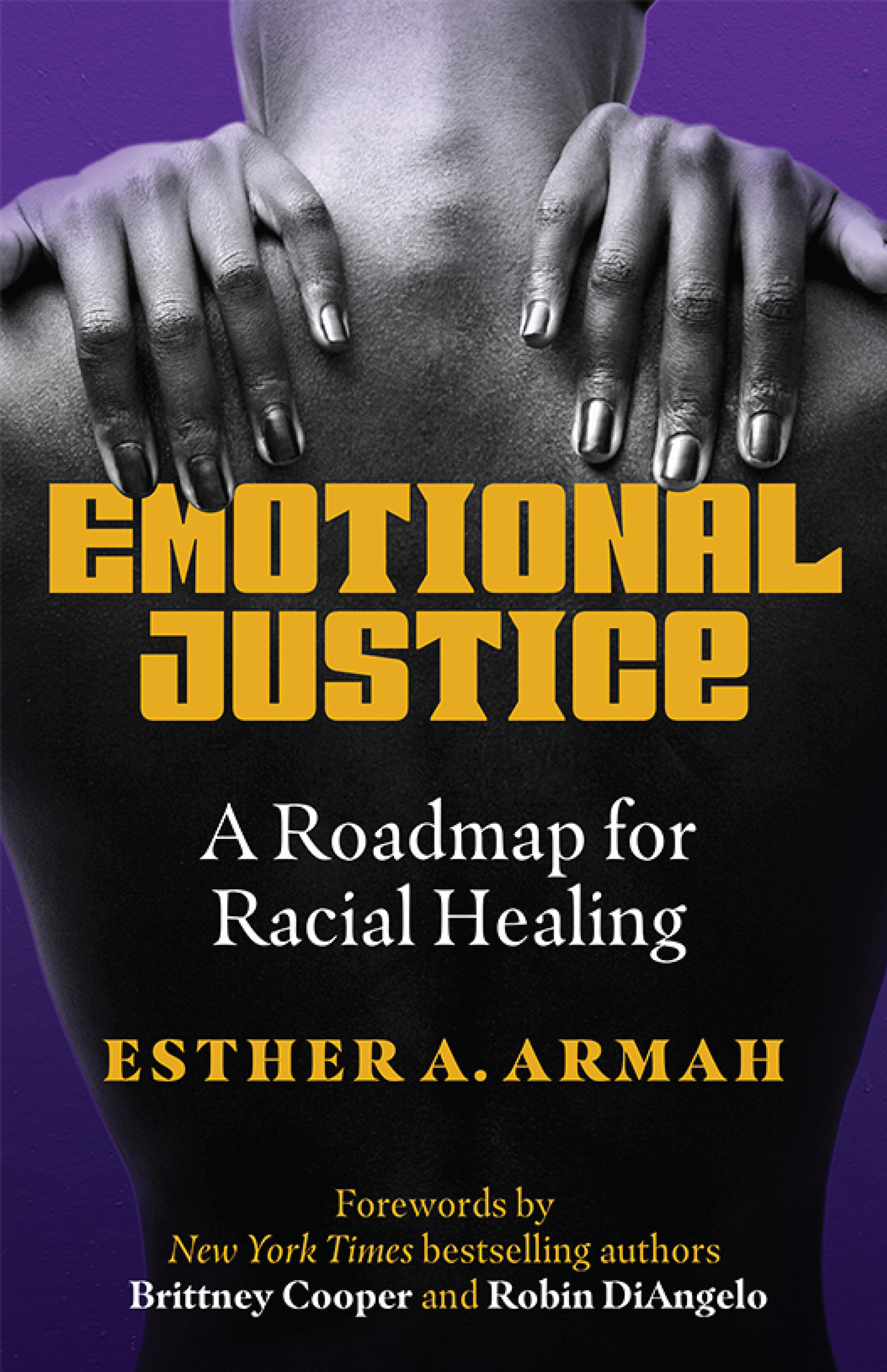 EMOTIONAL JUSTICE EMOTIONAL JUSTICE A Roadmap for Racial Healing - photo 1