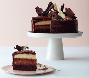 BAKE IT BETTER Bakers Guide Baking with chocolate can bring you stunning - photo 13