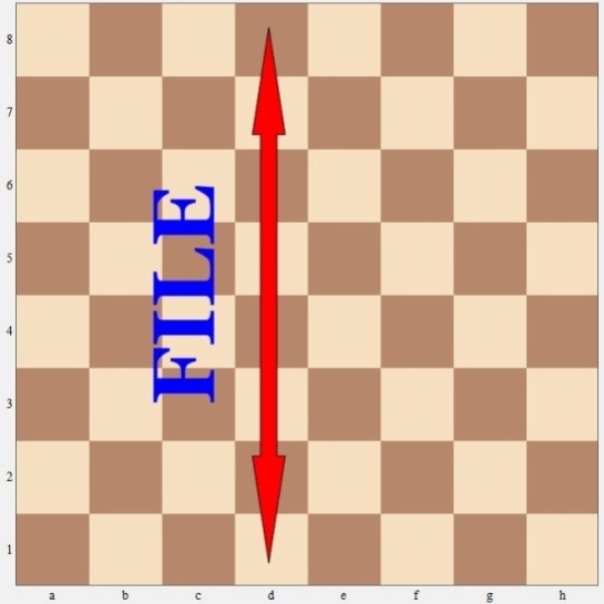 The squares that go side way are called ranks They go from 1-8 from down to - photo 4