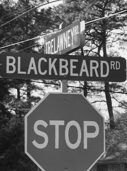 Blackbeard Road is in a residential neighborhood on Lake Joyce in Virginia - photo 7