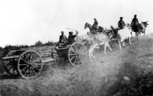 3 yoke of bullocks pulling a spare 18-pounder gun during the retreat from - photo 20