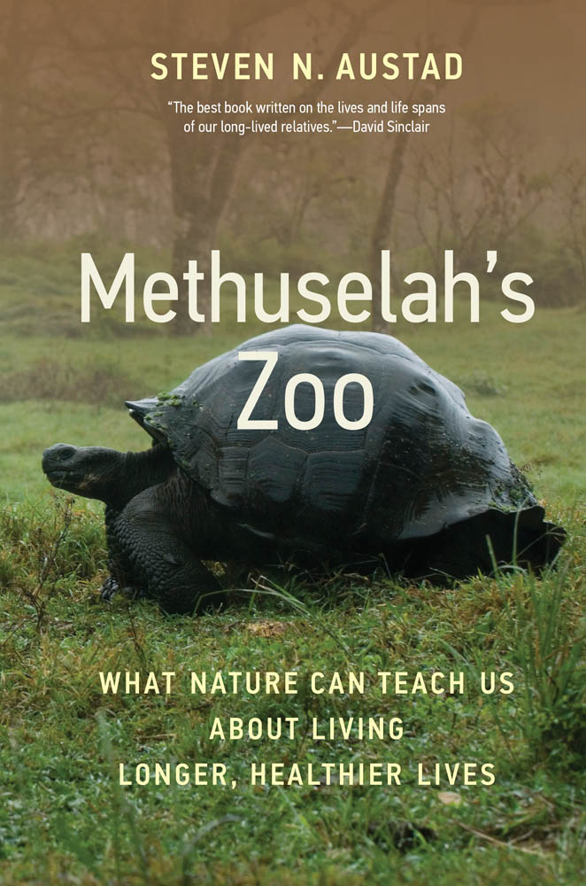 METHUSELAHS ZOO What Nature Can Teach Us about Living Longer Healthier Lives - photo 1