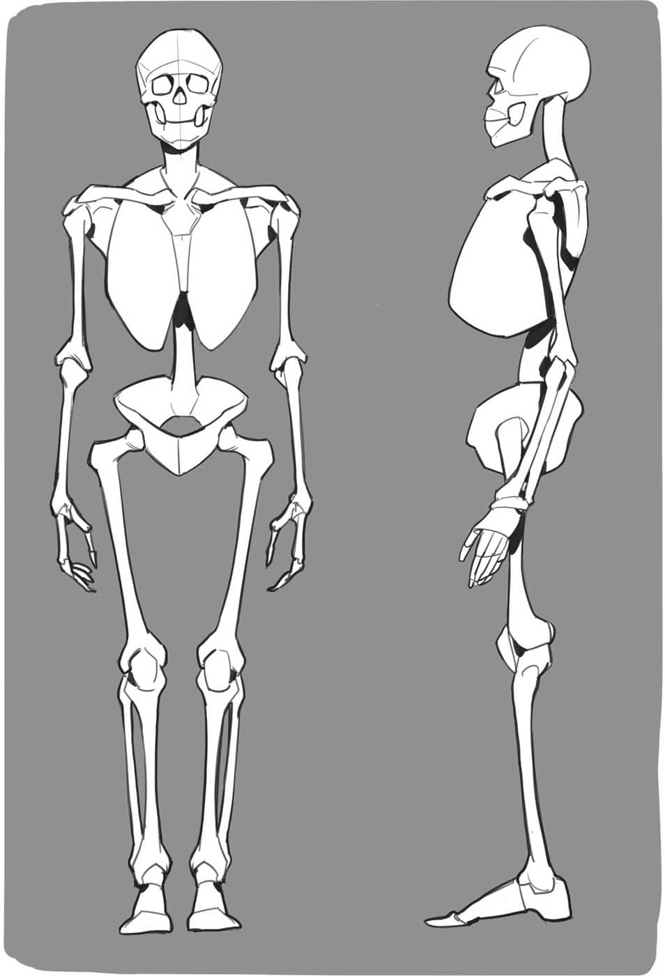 Remember these key parts MUSCLES Human muscles are complex If youre just - photo 10