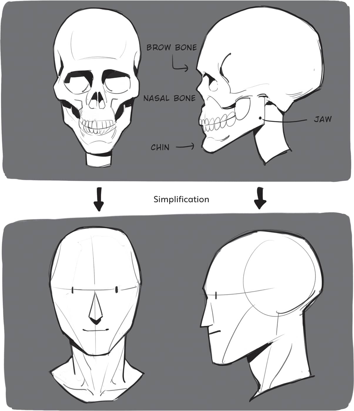 Starting with a simplified form makes it easier to draw multiple angles - photo 22