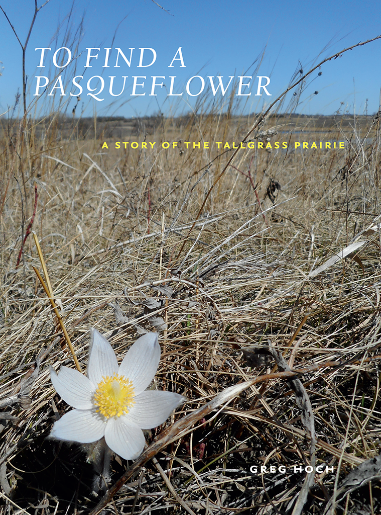 To Find a Pasqueflower A BUR OAK BOOK Holly Carver series editor TO FIND A - photo 1