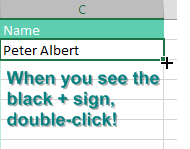 The solution is to double-click the Fill Handle Go to exactly the same spot - photo 6