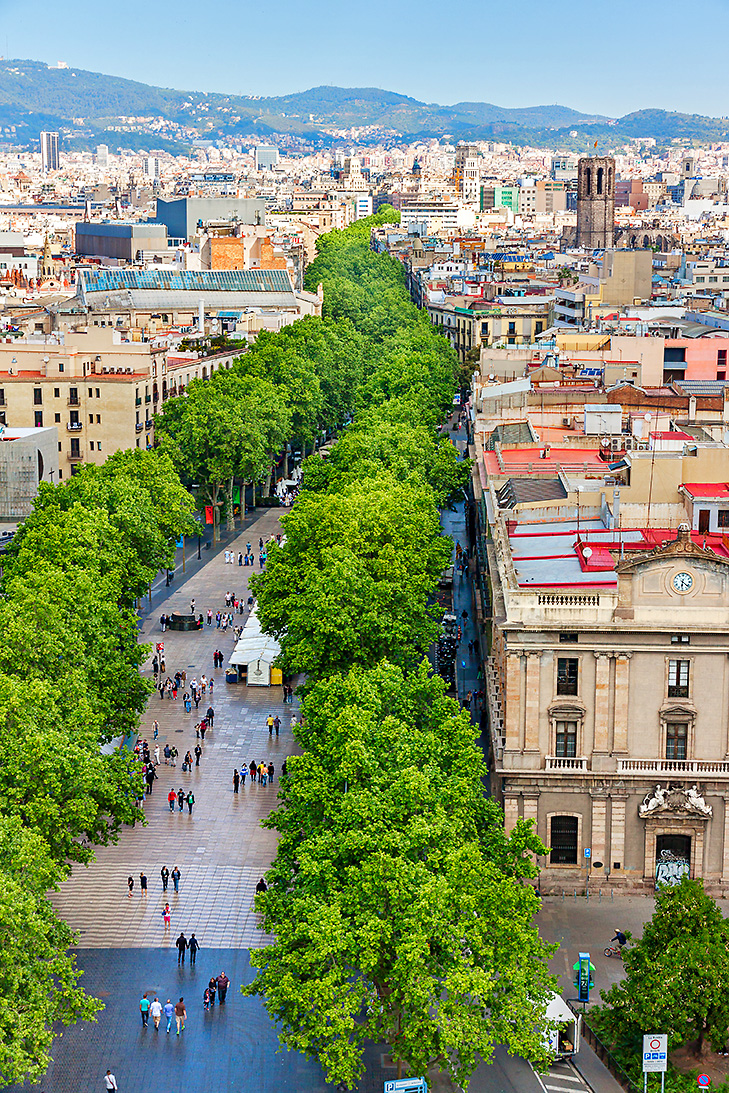 PERESANZSHUTTERSTOCK Barcelona Top Experiences BORJA - photo 13