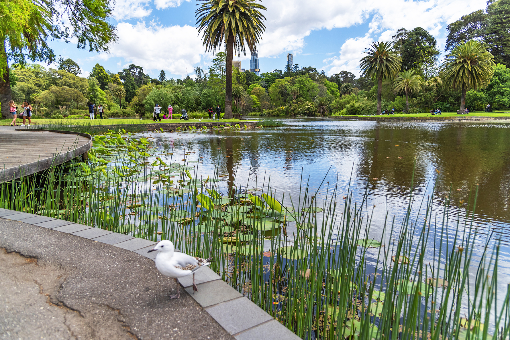 RIC JACYNOSHUTTERSTOCK Melbournes Top Experiences Impressive collection - photo 5