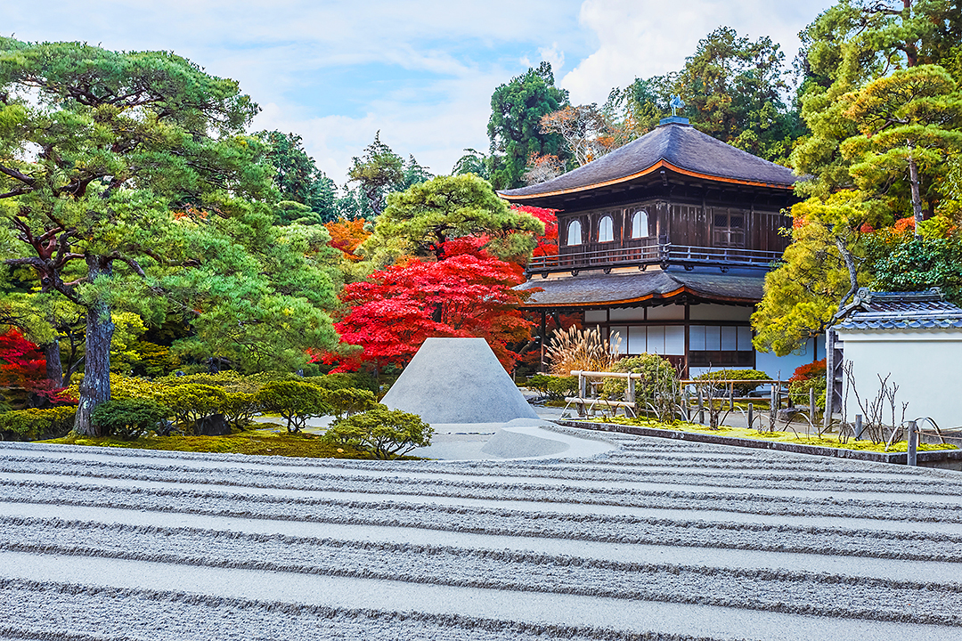 COWARDLIONSHUTTERSTOCK Kyoto Osakas Top Experiences Glimpse the world - photo 6