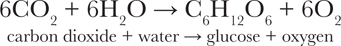 This reaction combines carbon dioxide and water to form energy-rich glucose - photo 3