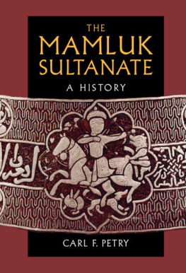 Carl F. Petry - The Mamluk Sultanate