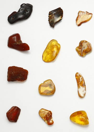 1 Specimens of amber in their myriad colours from a private collection in - photo 3