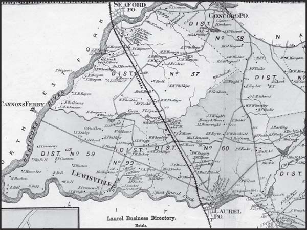 This mid-nineteenth-century map shows the Nanticoke River running diagonally - photo 5