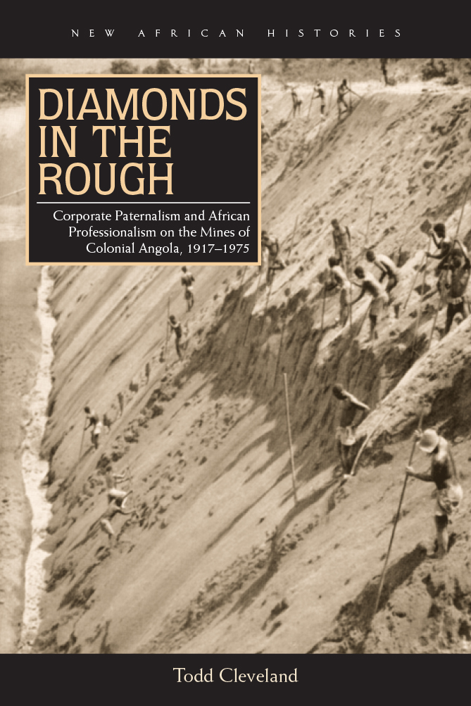 Diamonds in the Rough NEW AFRICAN HISTORIES SERIES EDITORS JEAN ALLMAN - photo 1