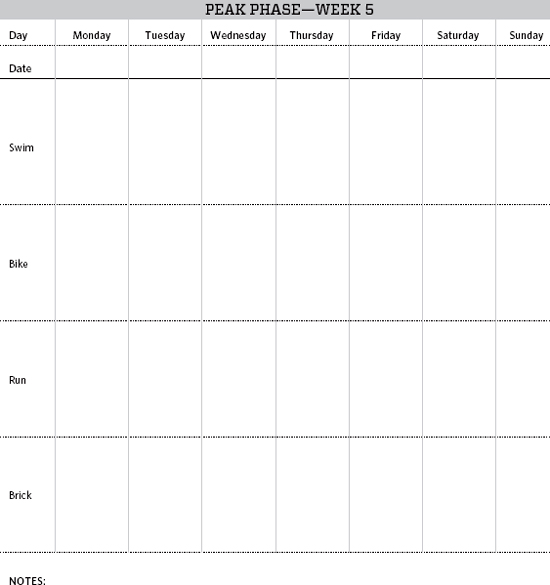 The 12 Week Triathlete-Revised and Updated - photo 12