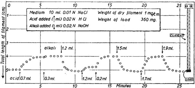 Figure 11 The historical first example of a chemomechanical material - photo 1