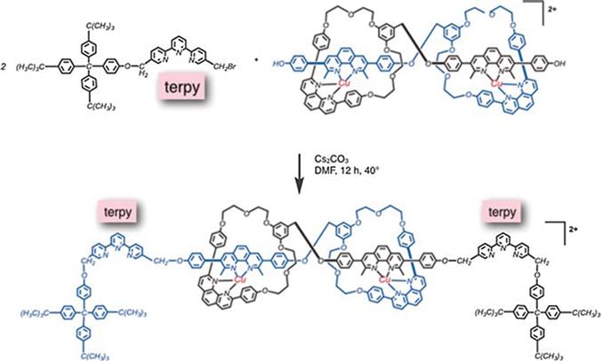 Figure 14 Two forms of a muscle-like 2rotaxane dimer with interconversion - photo 4