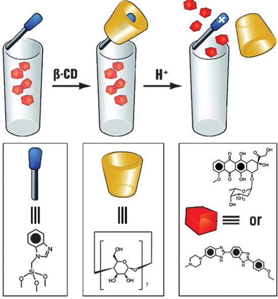 Figure 16 Mechanized silica nanoparticles MSNPs stalks containing - photo 6