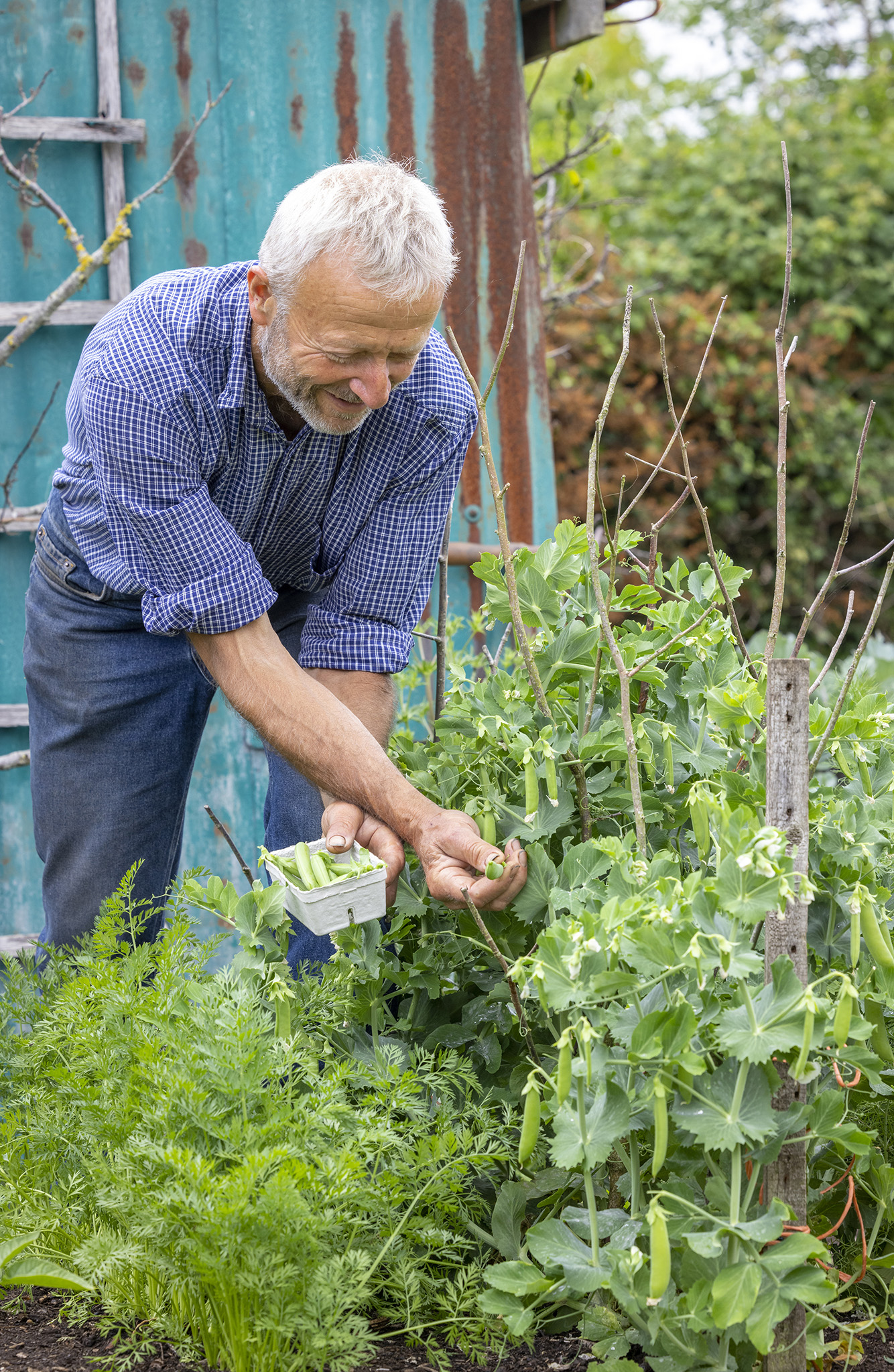 At Homeacres vegetables and flowers thrive year after year in no dig beds - photo 5