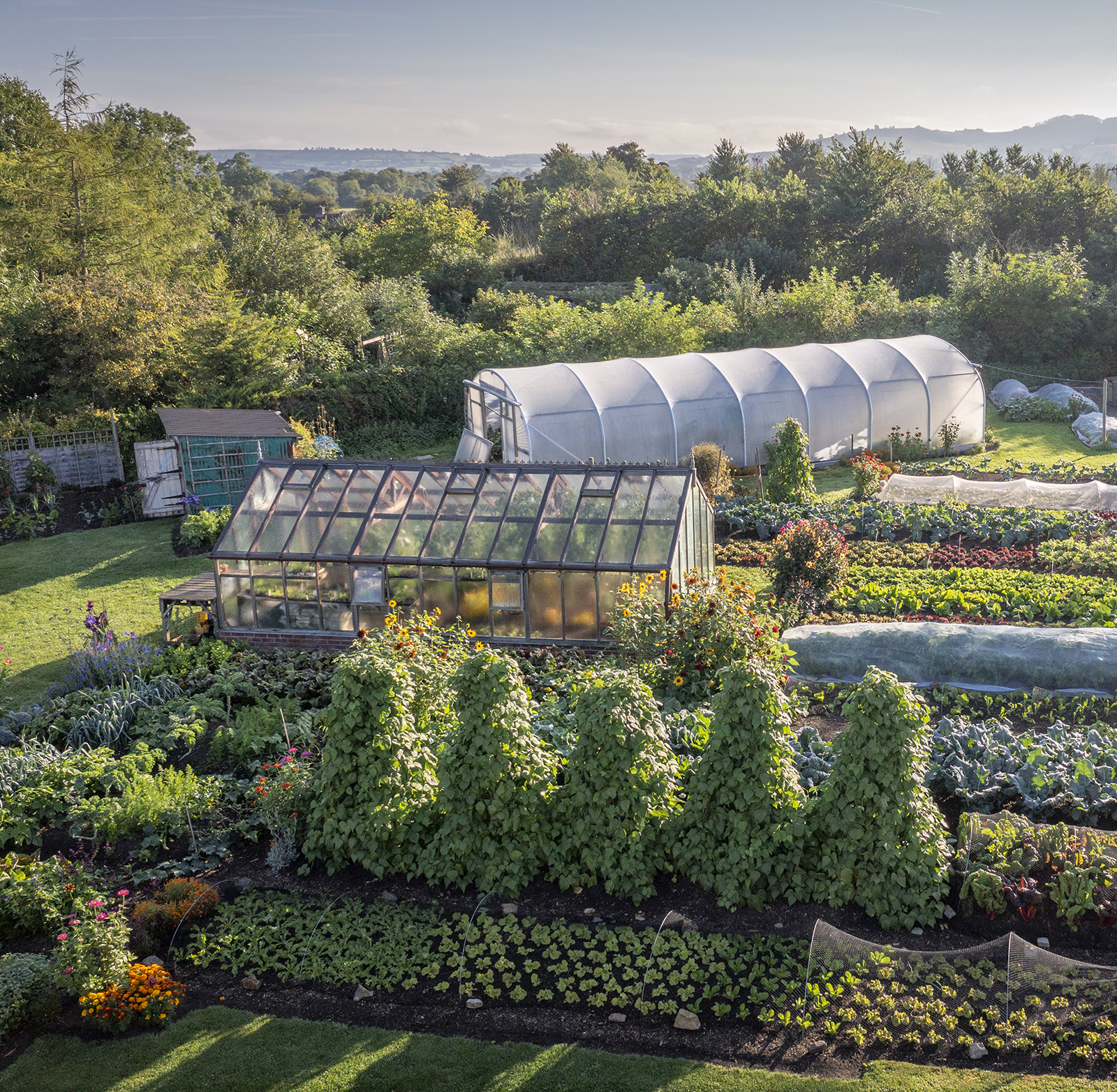 At Homeacres vegetables and flowers thrive year after year in no dig beds - photo 6