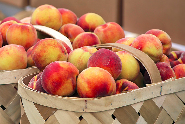 Theres nothing like picking a sun-warmed ripe peach from your own tree An - photo 1