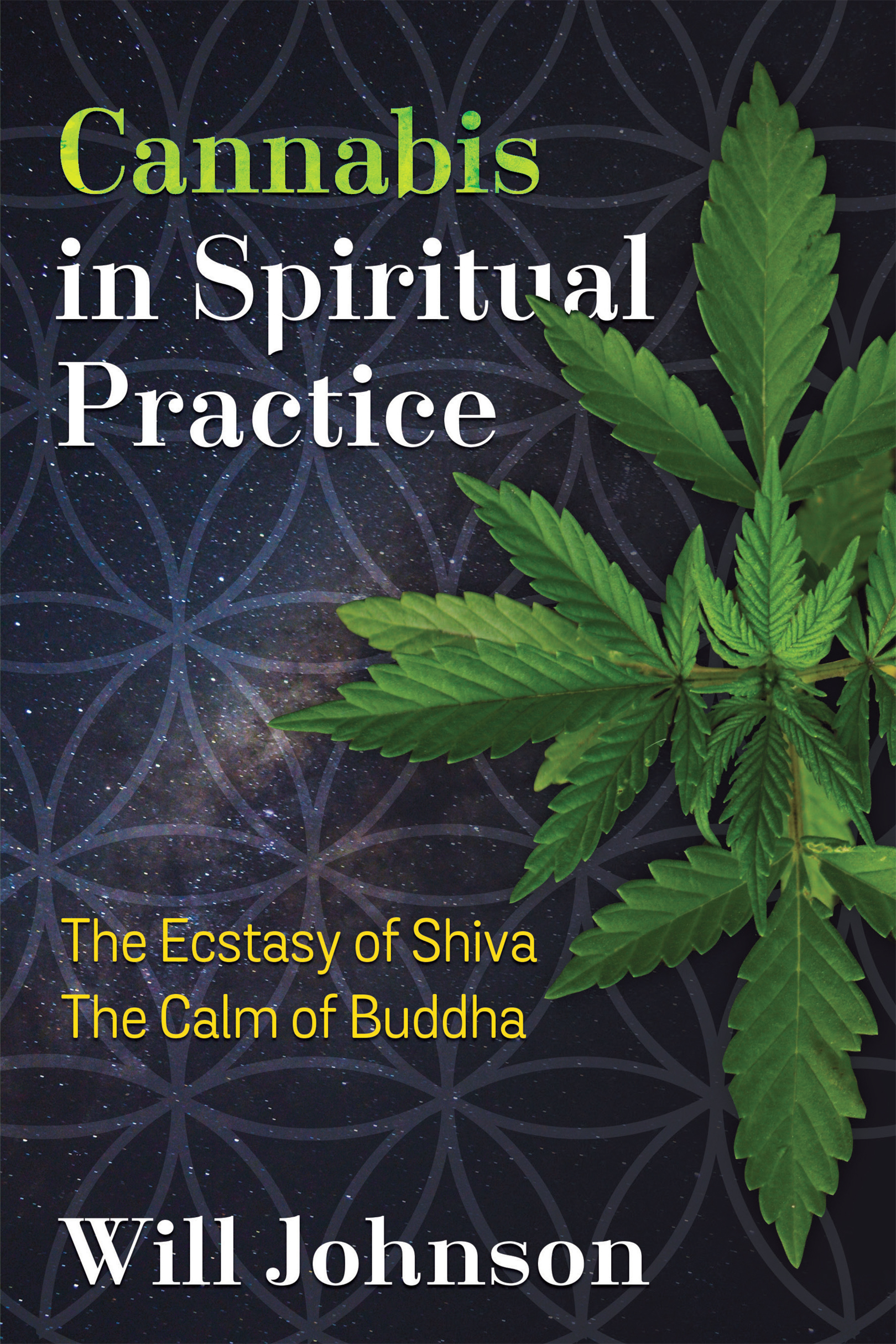 Cannabis in Spiritual Practice Will Johnson has a clear understanding of the - photo 1