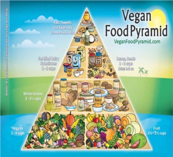 The above pyramid shows the food that needs to be taken in larger to smaller - photo 1