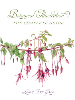 Leigh Ann Gale Botanical Illustration: The Complete Guide