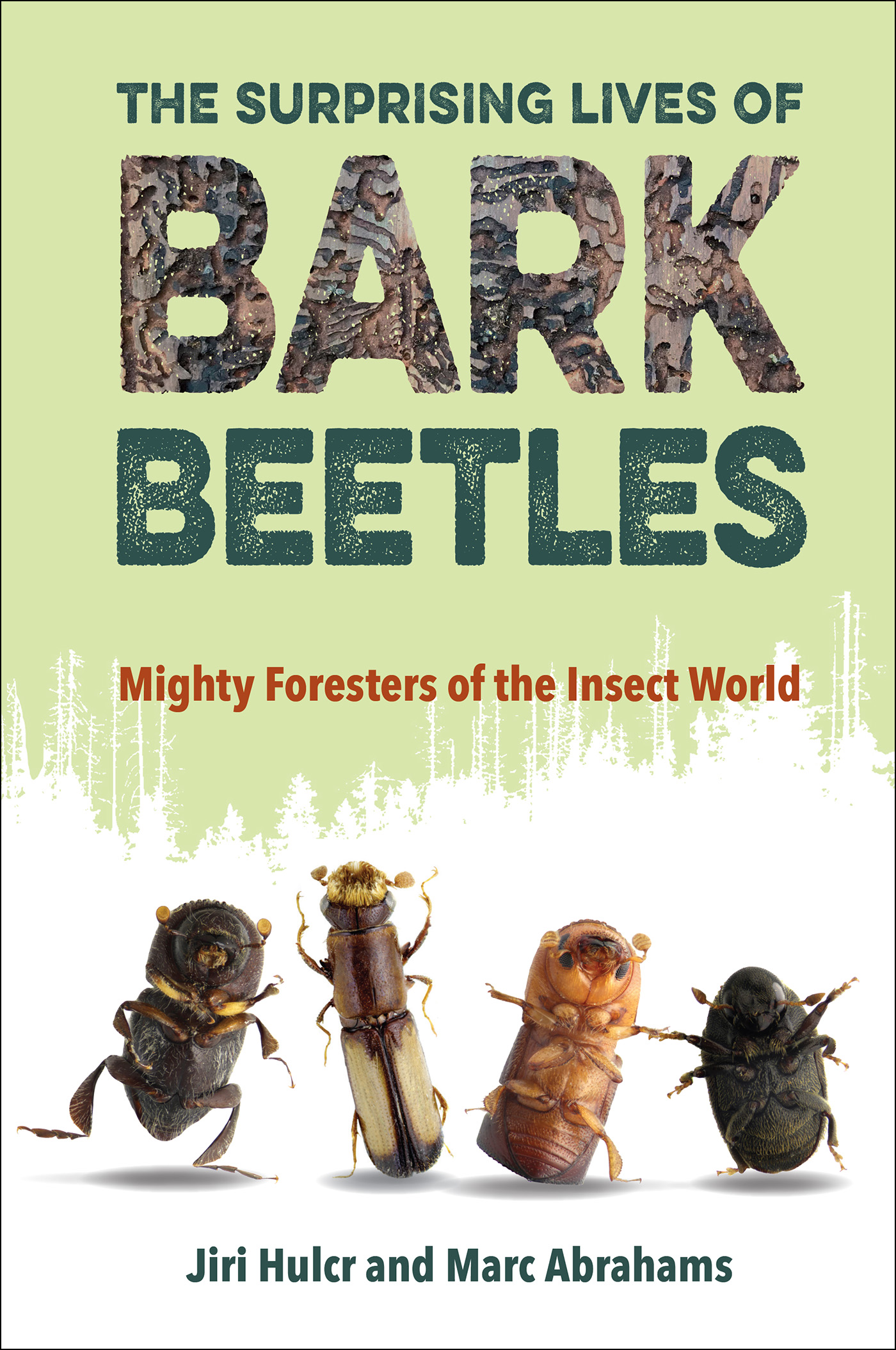 The Surprising Lives of Bark Beetles THE SURPRISING LIVES OF BARK BEETLES - photo 1