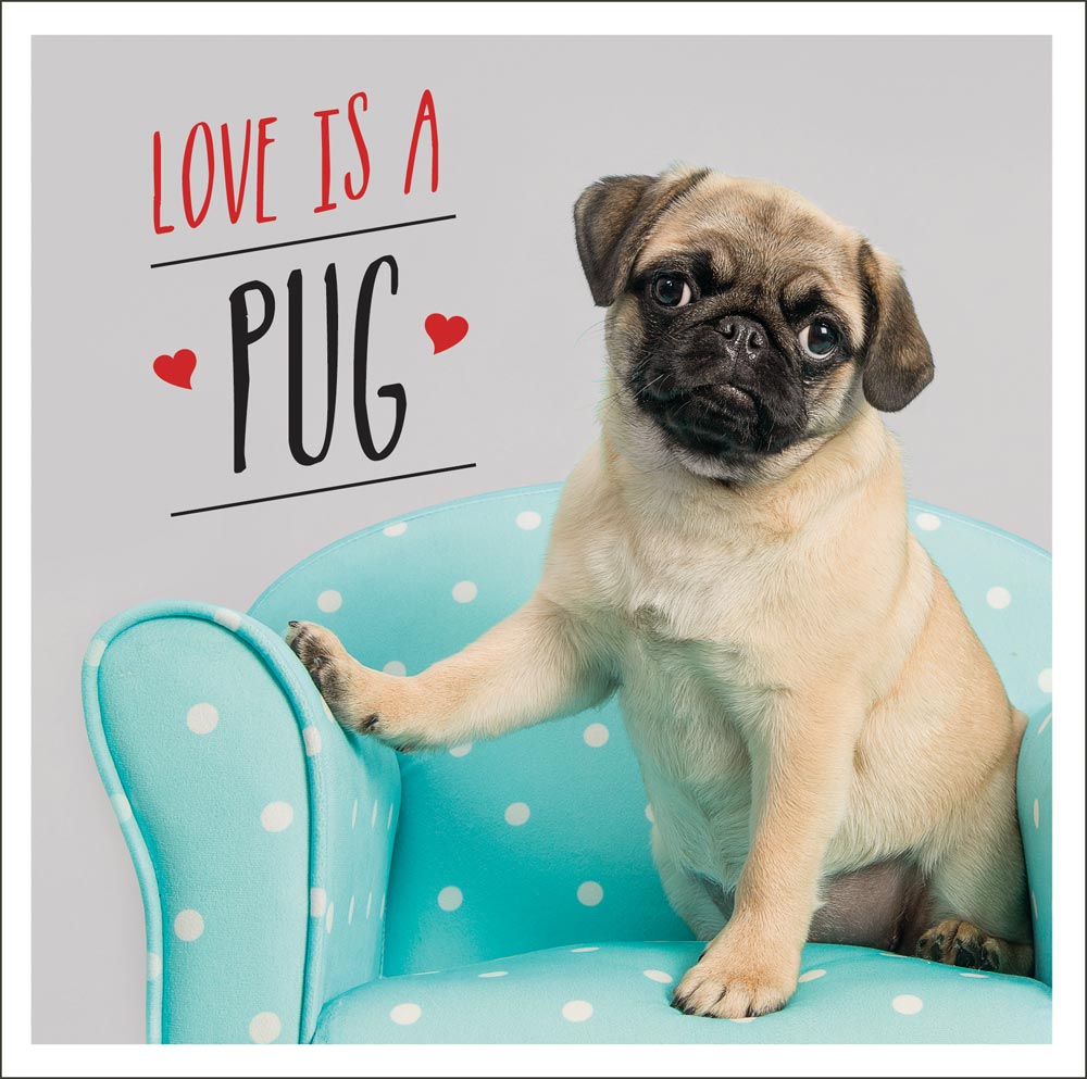 LOVE IS A PUG Copyright Summersdale Publishers Ltd 2018 All rights reserved - photo 1