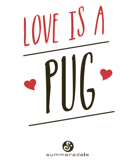 LOVE IS A PUG Copyright Summersdale Publishers Ltd 2018 All rights reserved - photo 2