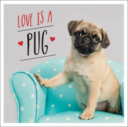 Charlie Ellis - Love is a Pug: A Pugtastic Celebration of The Worlds Cutest Dogs