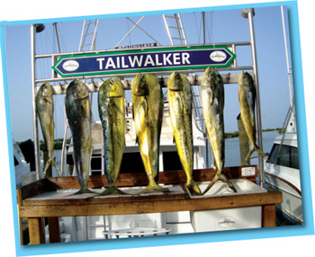 Catch of the day from Hawks Cay Resort and Marina Charter Fishing Boat - photo 12