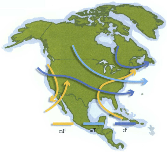 FIGURE 1 Movement of air masses maritime polar mP maritime tropical - photo 3