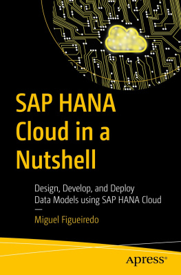 Miguel Figueiredo SAP HANA Cloud in a Nutshell: Design, Develop, and Deploy Data Models using SAP HANA Cloud
