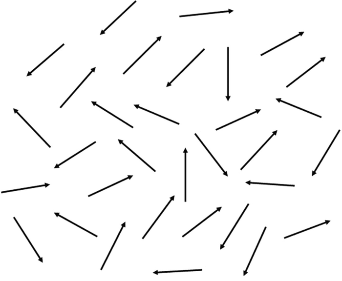 Fig 11 Magnetic moments of different hydrogen nuclei of an element of volume - photo 1