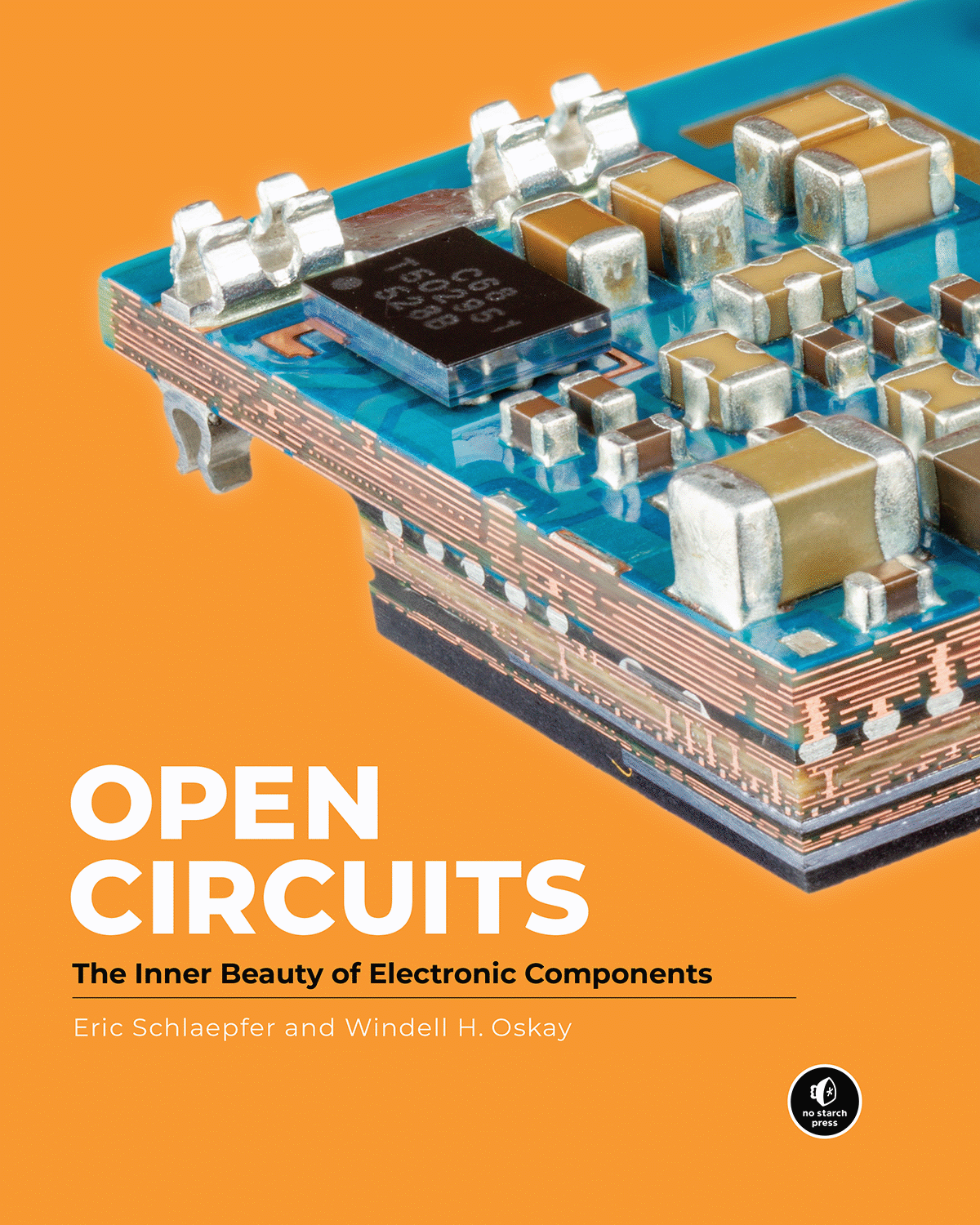 Open Circuits The Inner Beauty of Electronic Components - photo 1