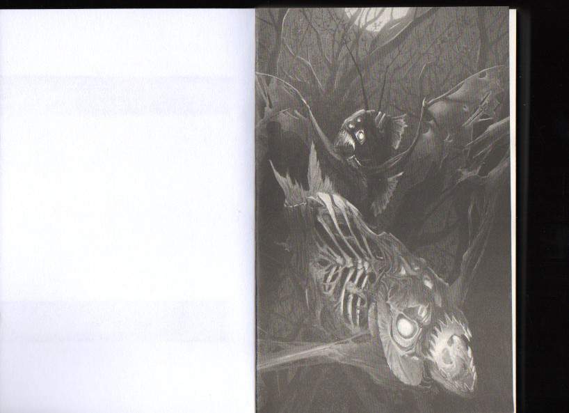 Fighting Fantasy Gamebook Secrets of SalaMonis 40th Anniversary edition - photo 2