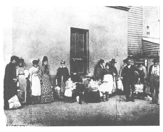 Ration day at the asylum BY THE SAME AUTHOR Politics in New South Wales - photo 2